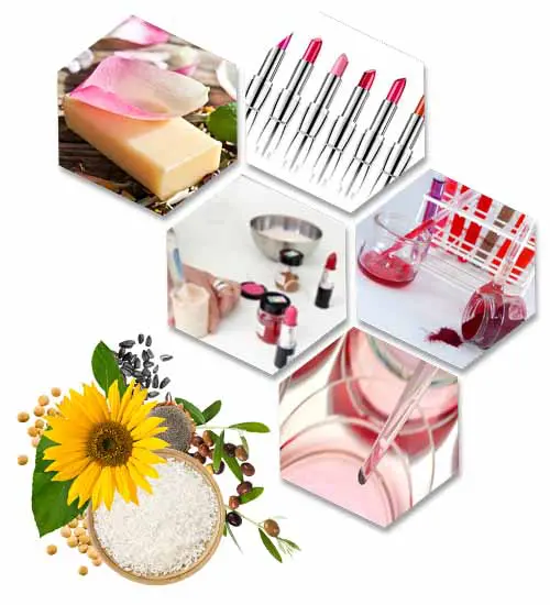 Launch Your Own Cosmetics Line with AQ Gimel, the Best Contract Manufacturing Cosmetics Solution Provider, High Quality Vegan Color Makeup.